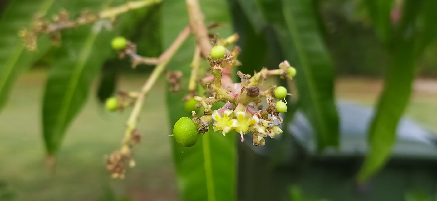 飘花电影网 · 现场光束